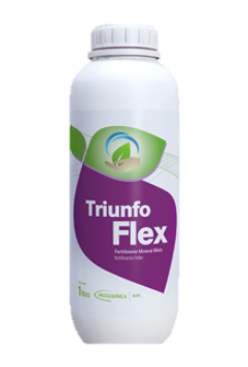 Triunfo Flex